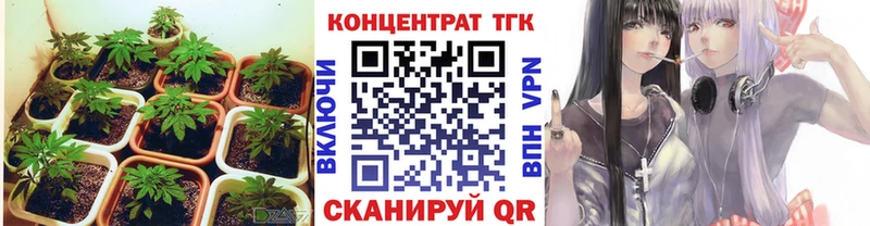 Дистиллят ТГК Wax Кондрово